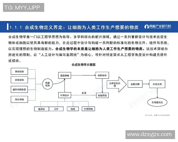 生物科技驱动未来探索基因编辑与合成生物学的创新发展路径